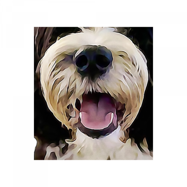 Personalised Pet Portrait (Canvas or Print) - Image 13