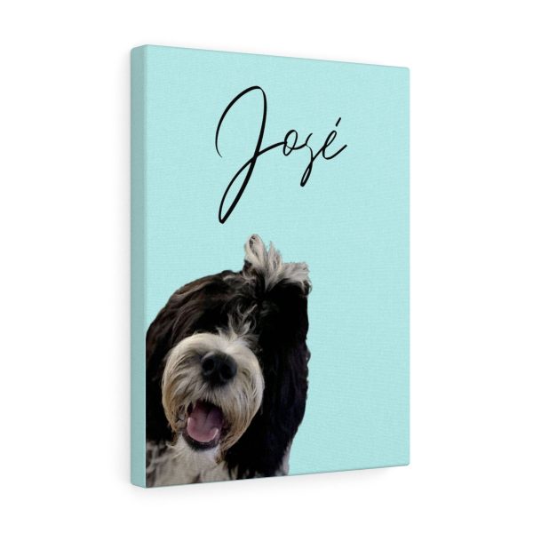 Personalised Pet Canvas