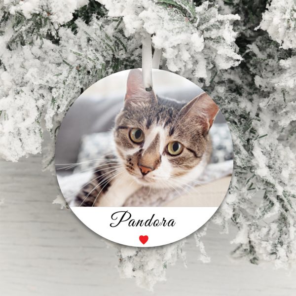 Personalised Decoration - Pet Photo - Image 5
