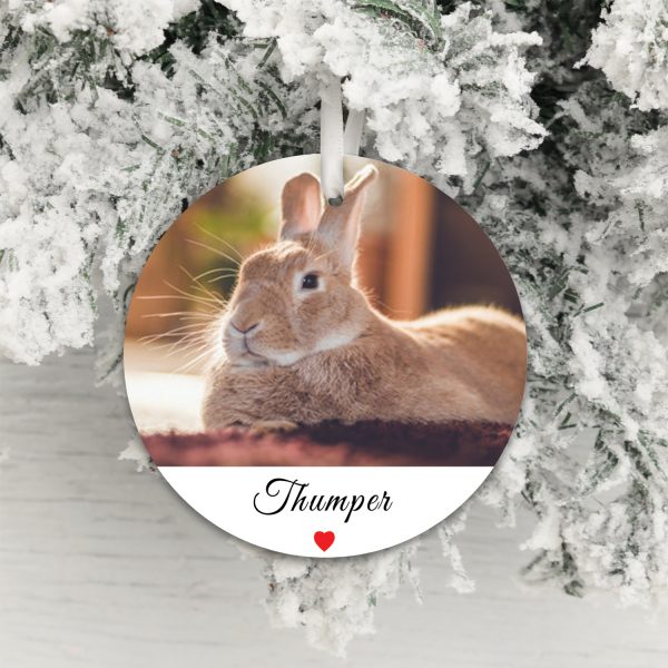 Personalised Decoration - Pet Photo