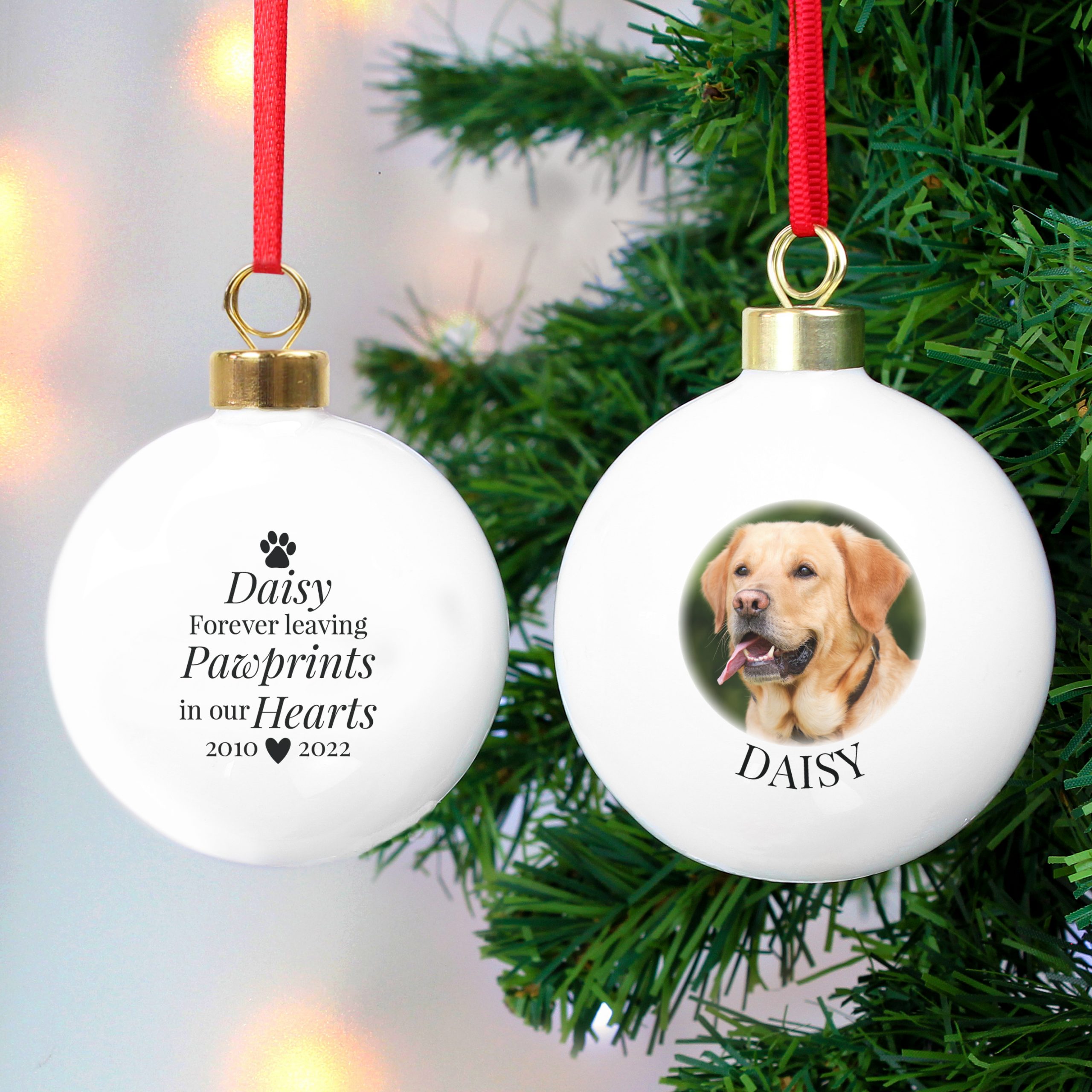 Pet Photo Memorial Bauble